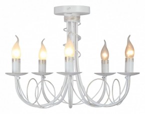 Люстра на штанге Vitaluce V3035 V3035-0/5PL в Тюмени - tumen.ok-mebel.com | фото 2