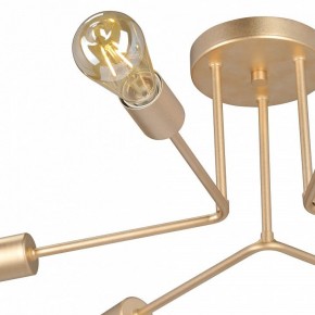 Люстра на штанге Vitaluce V3071 V3071-8/6PL в Тюмени - tumen.ok-mebel.com | фото 6
