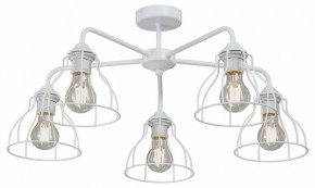 Люстра на штанге Vitaluce V3102 V3102-0/5PL в Тюмени - tumen.ok-mebel.com | фото
