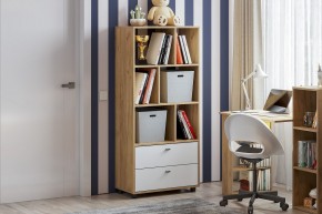 МИЛАН Детская (Дуб Золотой/Белый матовый) в Тюмени - tumen.ok-mebel.com | фото 53