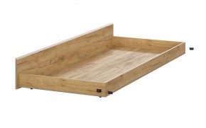 МИЛАН Детская (Дуб Золотой/Белый матовый) в Тюмени - tumen.ok-mebel.com | фото 6