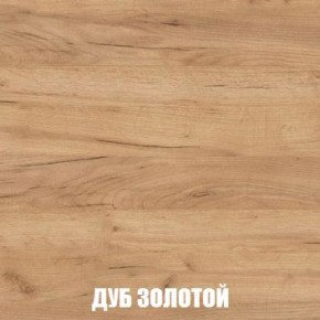 МСП-1 Шкаф 2-х створчатый (Дуб Золотой/Камень темный) в Тюмени - tumen.ok-mebel.com | фото 4