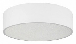 Накладной светильник Arlight TOR PILL 022103(3) в Тюмени - tumen.ok-mebel.com | фото