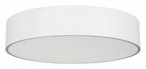 Накладной светильник Arlight TOR PILL 022108(3) в Тюмени - tumen.ok-mebel.com | фото