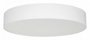 Накладной светильник Arlight TOR PILL 022131(3) в Тюмени - tumen.ok-mebel.com | фото