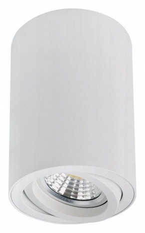 Накладной светильник Arte Lamp Sentry A1566PL-1WH в Тюмени - tumen.ok-mebel.com | фото