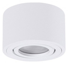 Накладной светильник Arte Lamp Unito A0550PL-1WH в Тюмени - tumen.ok-mebel.com | фото