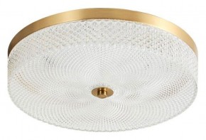 Накладной светильник Arti Lampadari Viro Viro L 1.13.35x7 G в Тюмени - tumen.ok-mebel.com | фото