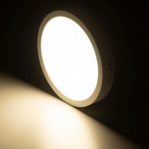 Накладной светильник Citilux Галс CL5522N в Тюмени - tumen.ok-mebel.com | фото 11