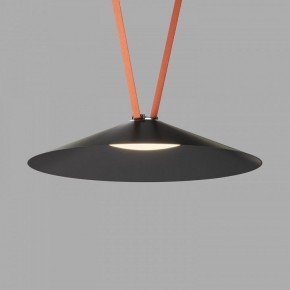Накладной светильник Denkirs Belty Flow DK5569-BK в Тюмени - tumen.ok-mebel.com | фото