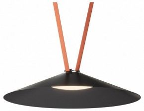 Накладной светильник Denkirs Belty Flow DK5569-BK в Тюмени - tumen.ok-mebel.com | фото 2