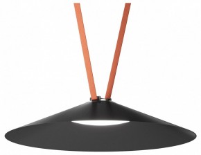 Накладной светильник Denkirs Belty Flow DK5668-BK в Тюмени - tumen.ok-mebel.com | фото