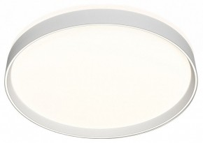Накладной светильник Denkirs PLATO DK6511-WH/1 в Тюмени - tumen.ok-mebel.com | фото