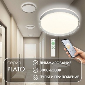 Накладной светильник Denkirs PLATO DK6511-WH/1 в Тюмени - tumen.ok-mebel.com | фото 4