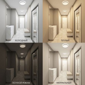 Накладной светильник Denkirs PLATO DK6511-WH/1 в Тюмени - tumen.ok-mebel.com | фото 5