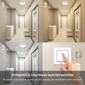 Накладной светильник Denkirs PLATO DK6511-WH/1 в Тюмени - tumen.ok-mebel.com | фото 6