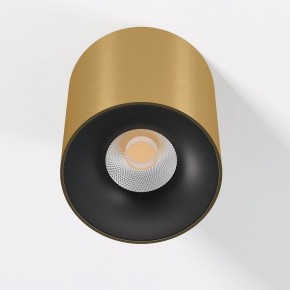 Накладной светильник Elektrostandard Primo 25116/LED в Тюмени - tumen.ok-mebel.com | фото