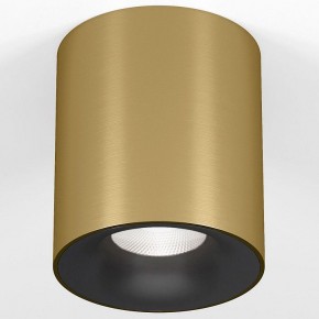 Накладной светильник Elektrostandard Primo 25116/LED в Тюмени - tumen.ok-mebel.com | фото 2