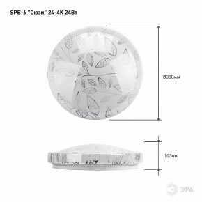Накладной светильник Эра Классик SPB-6-24-4K (C) в Тюмени - tumen.ok-mebel.com | фото 6
