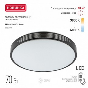 Накладной светильник Эра Классик SPB-6-70-RC Liburn в Тюмени - tumen.ok-mebel.com | фото 10