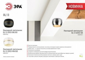 Накладной светильник Эра OL13 GX53 SN Б0049031 в Тюмени - tumen.ok-mebel.com | фото 5