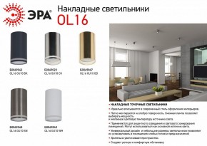 Накладной светильник Эра OL16 GU10 BK Б0049042 в Тюмени - tumen.ok-mebel.com | фото 3