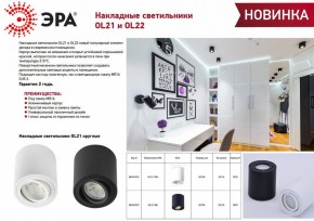 Накладной светильник Эра OL21 BK Б0054393 в Тюмени - tumen.ok-mebel.com | фото 2