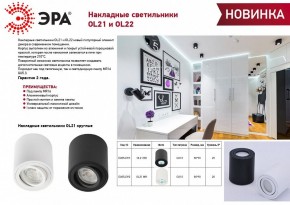 Накладной светильник Эра OL22 BK Б0054395 в Тюмени - tumen.ok-mebel.com | фото 3