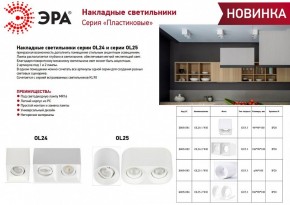 Накладной светильник Эра OL24-2 WH Б0054382 в Тюмени - tumen.ok-mebel.com | фото 2