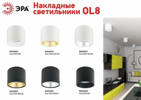 Накладной светильник Эра OL8 GX53 BK/GD Б0048539 в Тюмени - tumen.ok-mebel.com | фото 3