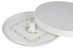 Накладной светильник Эра Relict Relict 38 SPB-6-40 4К WH в Тюмени - tumen.ok-mebel.com | фото 7