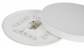 Накладной светильник Эра Relict Relict 48 Pult SPB-6-60-RC WH в Тюмени - tumen.ok-mebel.com | фото 11