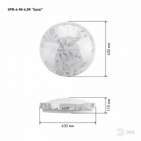 Накладной светильник Эра Relict SPB-6-50-6,5K Syuzi в Тюмени - tumen.ok-mebel.com | фото 3