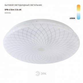 Накладной светильник Эра Slim SPB-6 Slim 3 24-6K в Тюмени - tumen.ok-mebel.com | фото 2