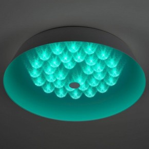 Накладной светильник Эра  SPB-6-60-RC Locus RGB в Тюмени - tumen.ok-mebel.com | фото 8