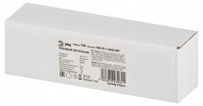 Накладной светильник Эра  TRM-S5-1-6W4K-WH в Тюмени - tumen.ok-mebel.com | фото 6