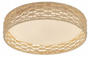 Накладной светильник F-promo Conrad 4749-4C в Тюмени - tumen.ok-mebel.com | фото 2