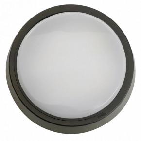 Накладной светильник Feron AL3020 51475 в Тюмени - tumen.ok-mebel.com | фото 4