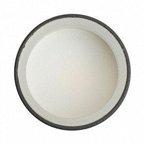 Накладной светильник Feron ML100 51369 в Тюмени - tumen.ok-mebel.com | фото 8