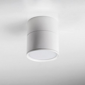 Накладной светильник Lightstar Acuto 215886 в Тюмени - tumen.ok-mebel.com | фото 3