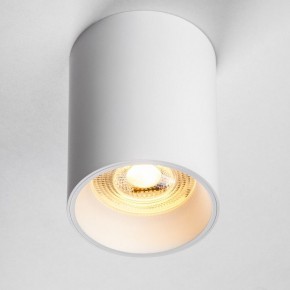 Накладной светильник Lightstar Rullo 213436 в Тюмени - tumen.ok-mebel.com | фото 2