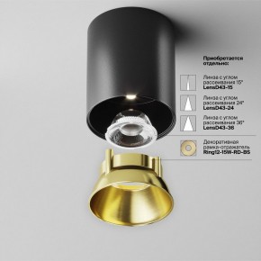 Накладной светильник Maytoni Alfa LED C064CL-12W4K-RD-B в Тюмени - tumen.ok-mebel.com | фото 3