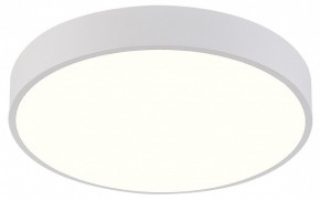 Накладной светильник Natali Kovaltseva  LED LAMPS 81111/5C в Тюмени - tumen.ok-mebel.com | фото