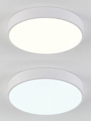 Накладной светильник Natali Kovaltseva  LED LAMPS 81111/5C в Тюмени - tumen.ok-mebel.com | фото 4