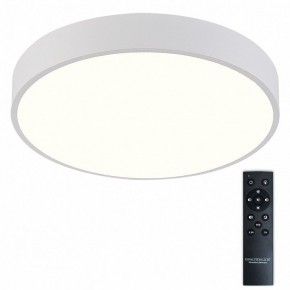 Накладной светильник Natali Kovaltseva  LED LAMPS 81112/5C в Тюмени - tumen.ok-mebel.com | фото 2