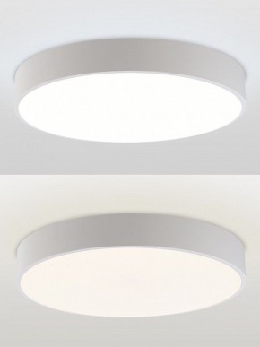 Накладной светильник Natali Kovaltseva MODERN LED LAMPS 81105/2C в Тюмени - tumen.ok-mebel.com | фото 4