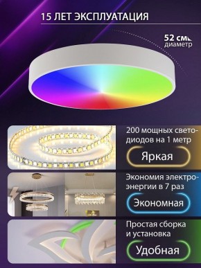 Накладной светильник Natali Kovaltseva MODERN LED LAMPS 81105/2C в Тюмени - tumen.ok-mebel.com | фото 6