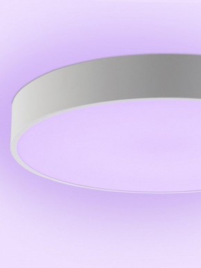 Накладной светильник Natali Kovaltseva MODERN LED LAMPS 81105/2C в Тюмени - tumen.ok-mebel.com | фото 9