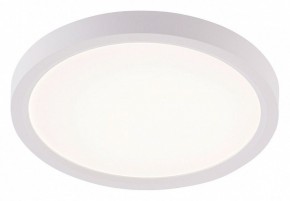 Накладной светильник Natali Kovaltseva PLAIN LED LAMPS 81113/1C в Тюмени - tumen.ok-mebel.com | фото