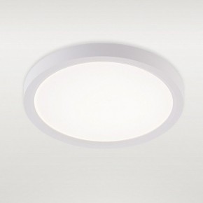 Накладной светильник Natali Kovaltseva PLAIN LED LAMPS 81113/1C в Тюмени - tumen.ok-mebel.com | фото 2